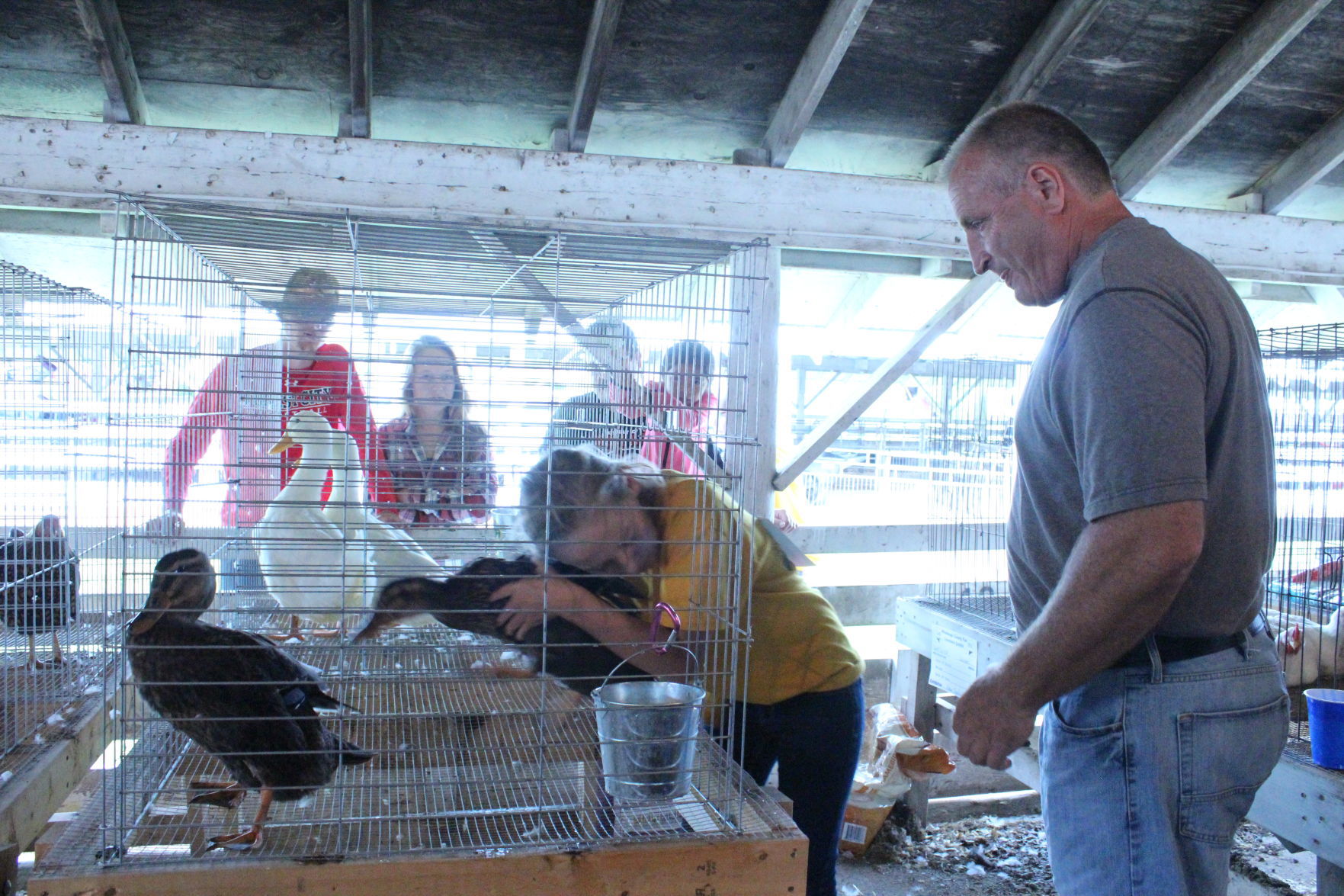 Poultry Show 5